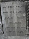 image of grave number 311100